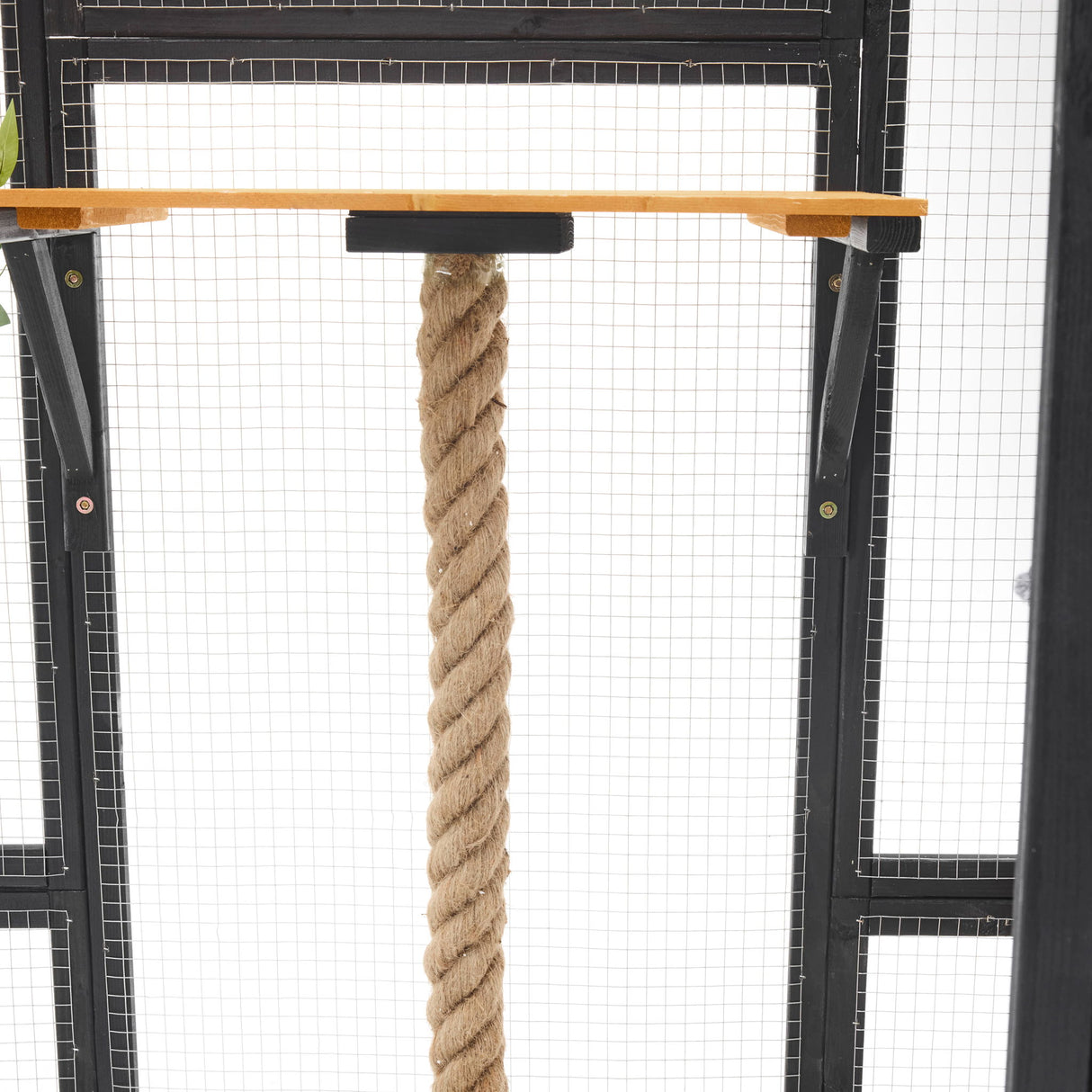 Outdoor Cat House, Diy Cat Enclosure Catio With Double Enter Doors