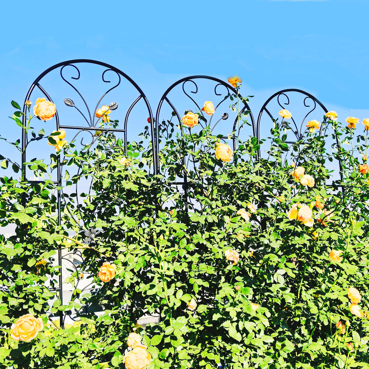 2 Pack Metal Garden Trellis
