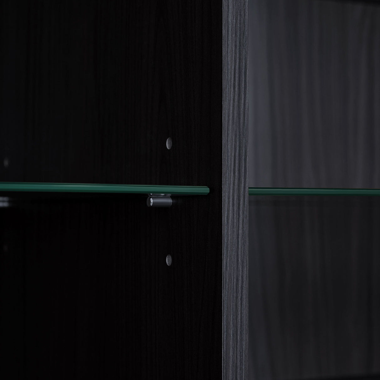 Modern Minimalist Style LED Curio Cabinet With Tempered Glass Door, Metal Legs