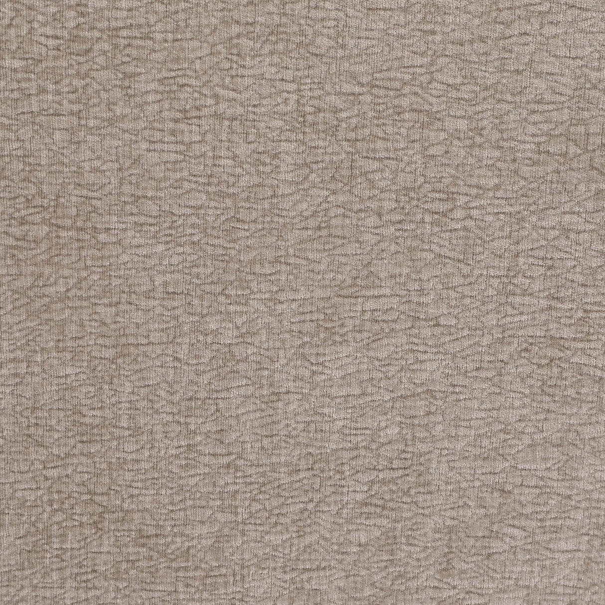 Silvana - Upholstered Rolled Loveseat With Curved Back And Foam Cushions - Beige
