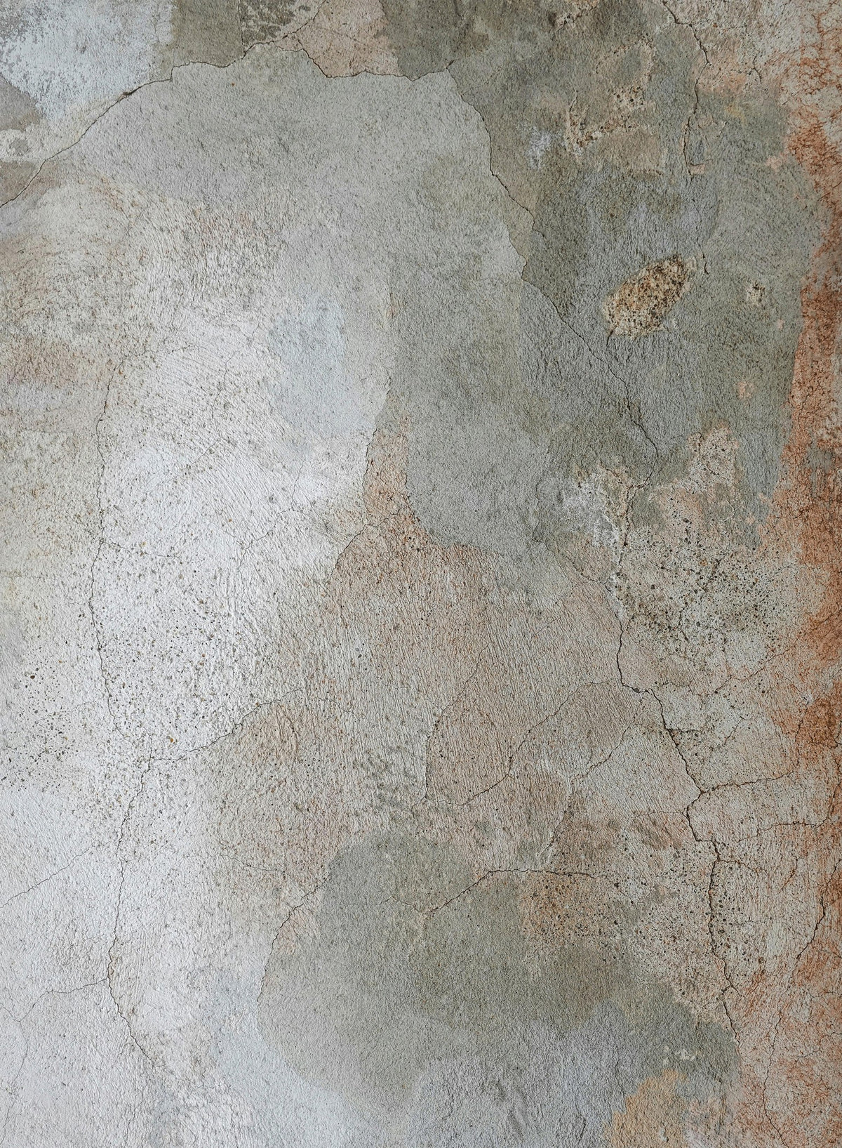 Artistic Collection Area Rug