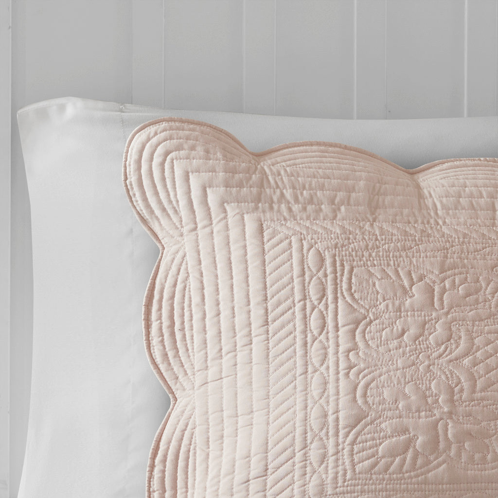 20298131