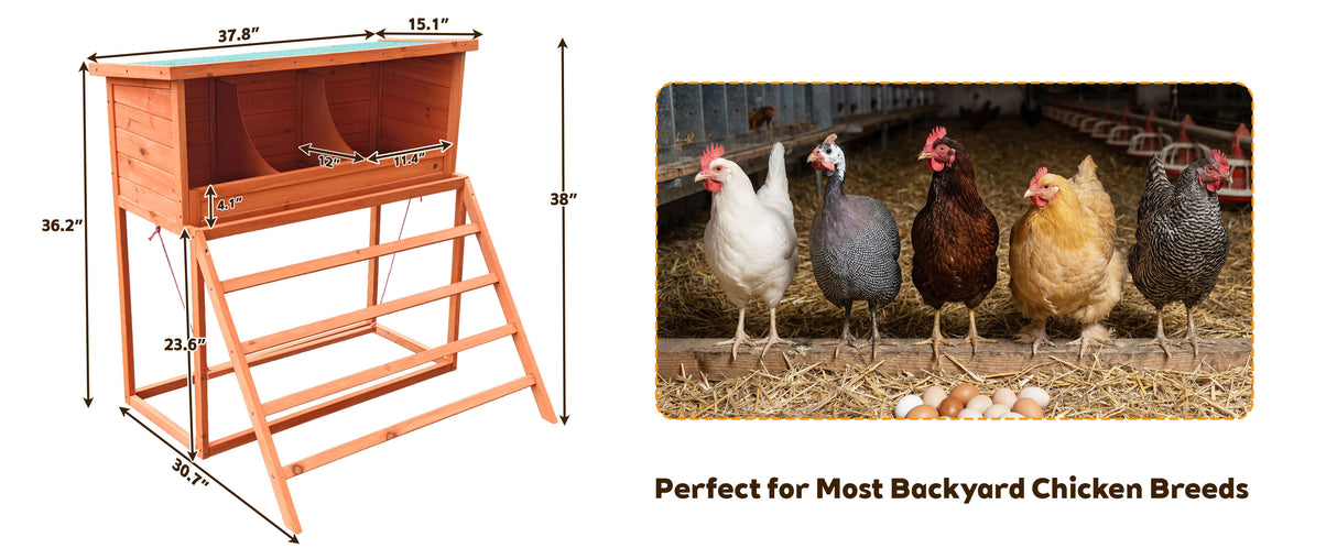 3-in-1 Nesting Boxes for Chickens with Perch and Swing