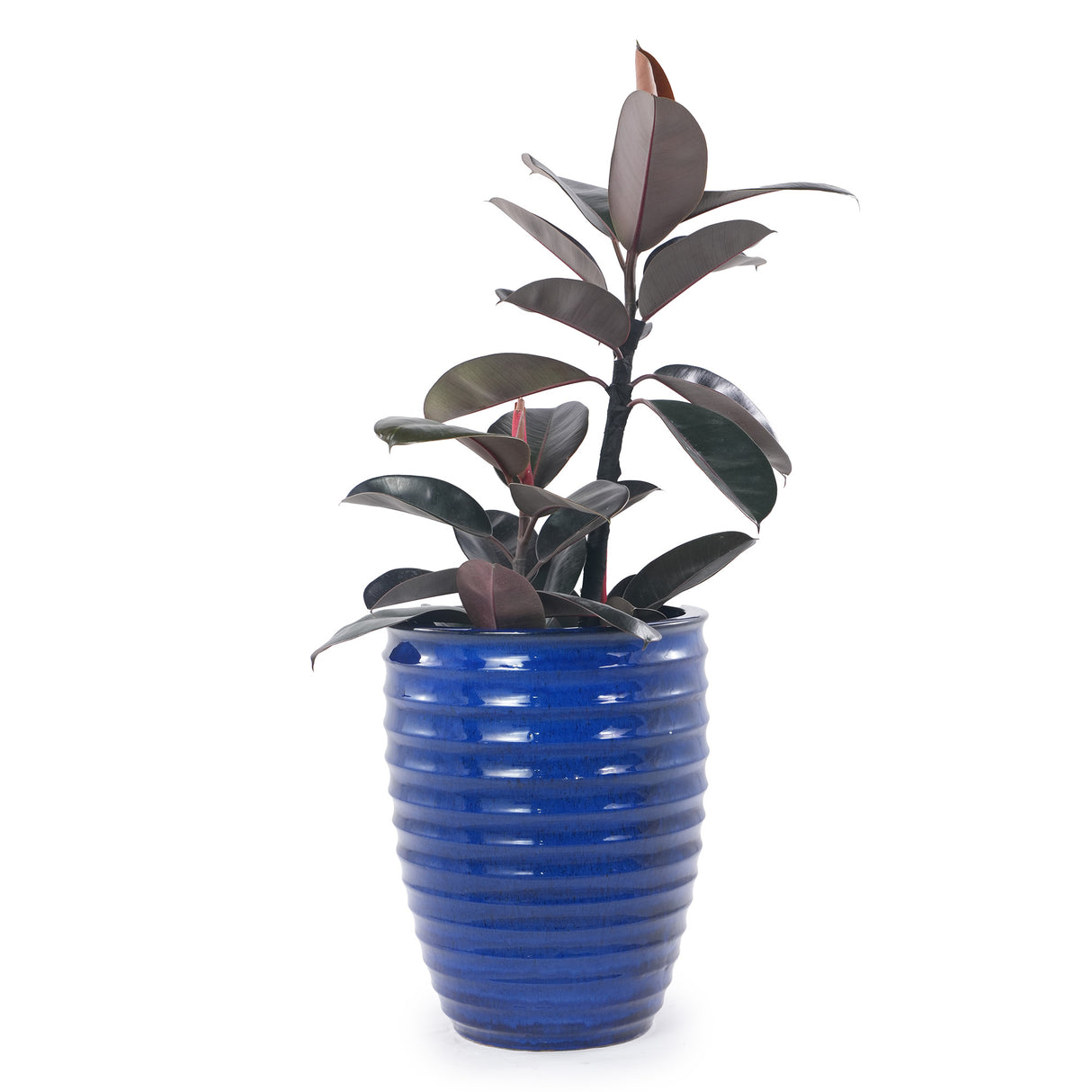 Handmade Sapphire Garden Pot