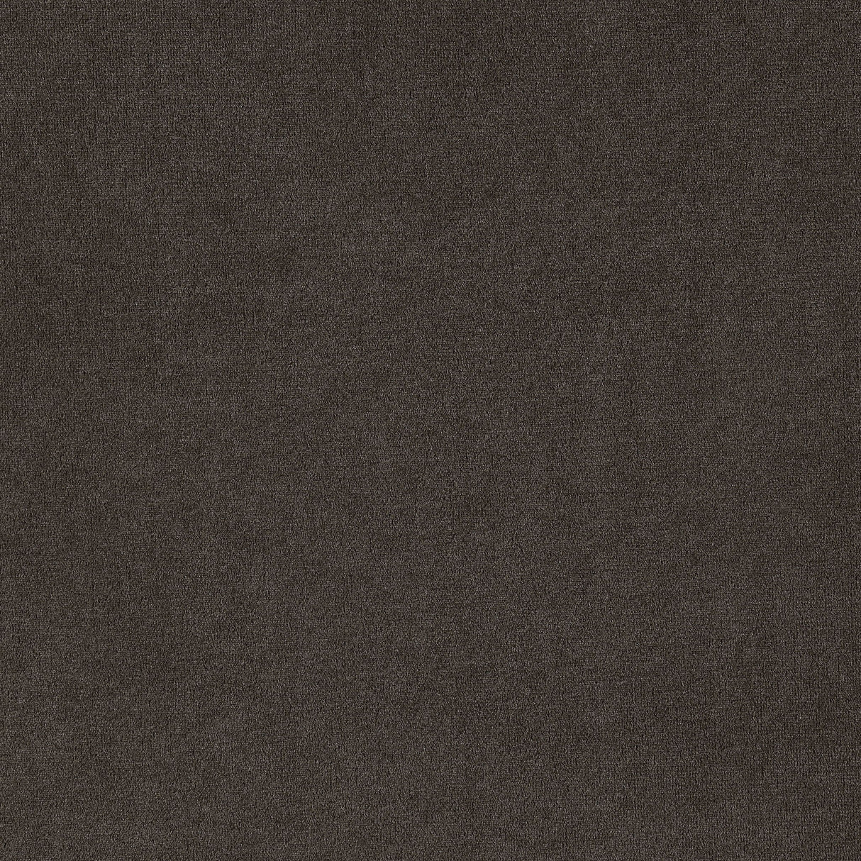 Side Chairs With Tufting Nailhead Trim (Set of 2) - Brown
