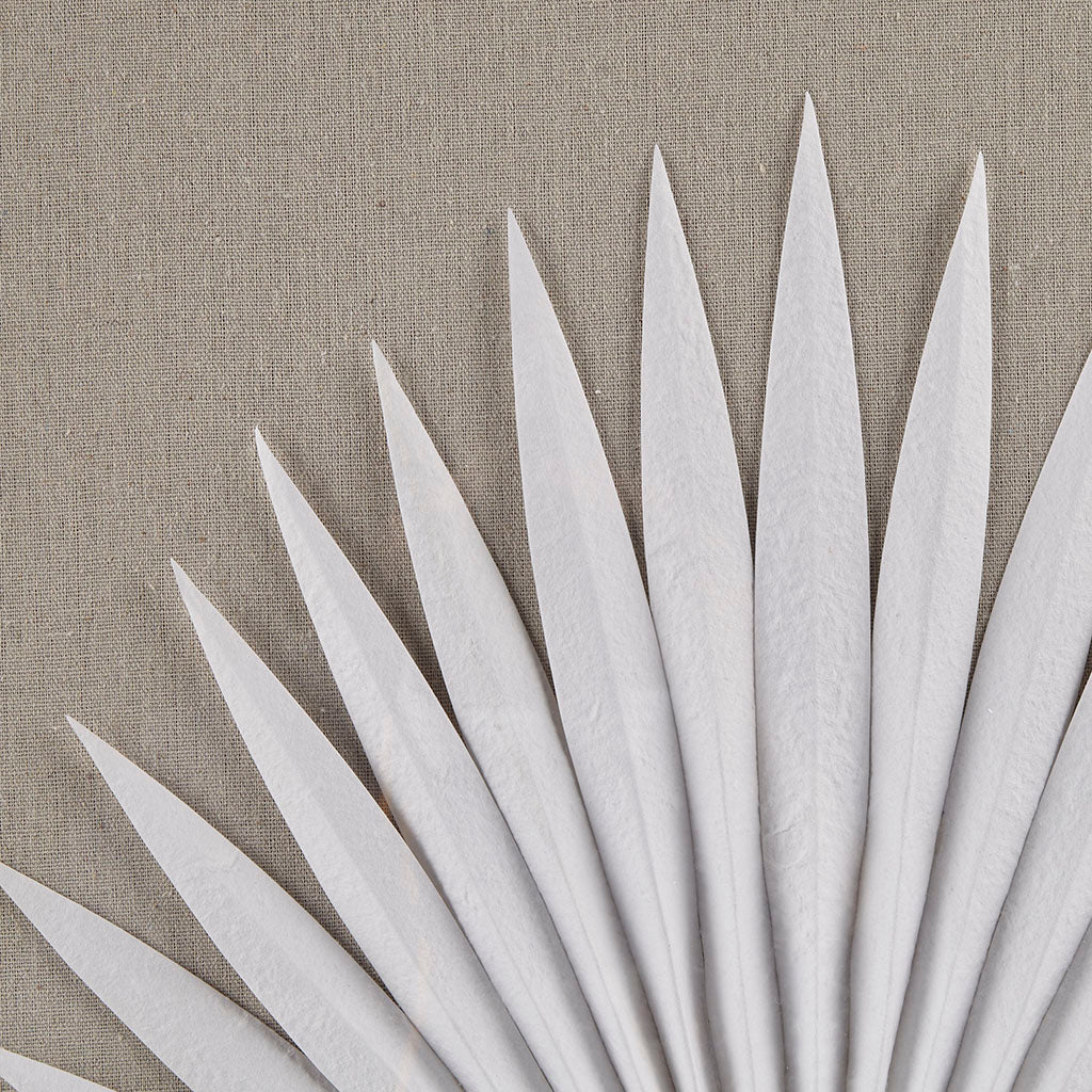 Framed Rice Paper Palm Leaves 3-piece Shadowbox Wall Décor Set