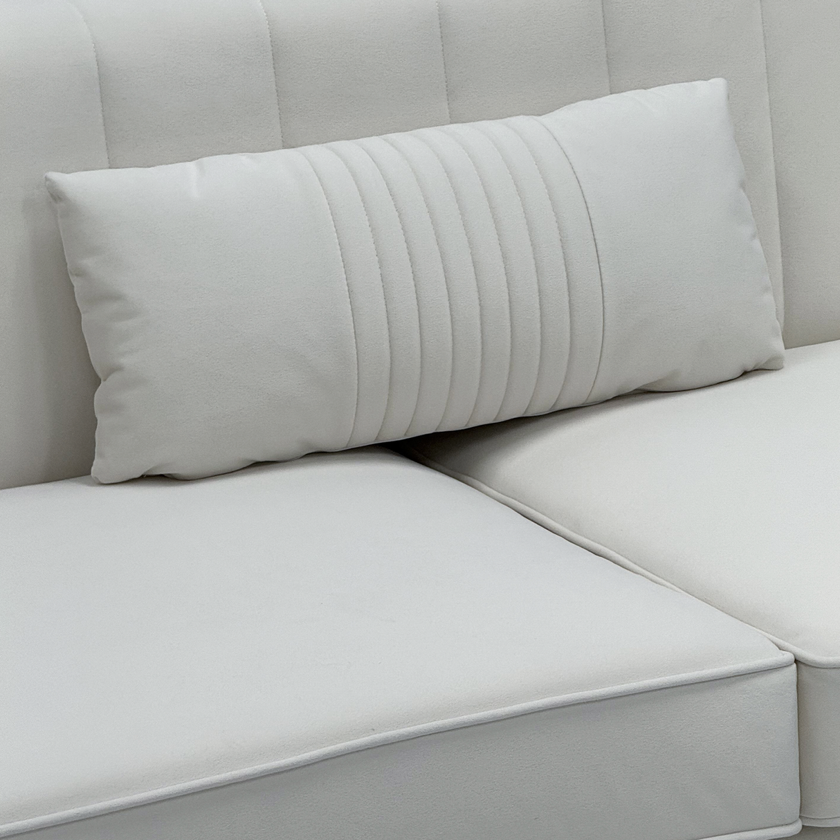 FX-P11-CW-2PC Sofa Modern