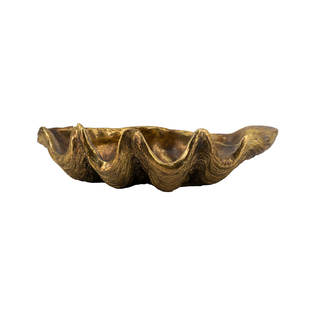 19.7x10.6x5.5" Decorative Shell Bowl