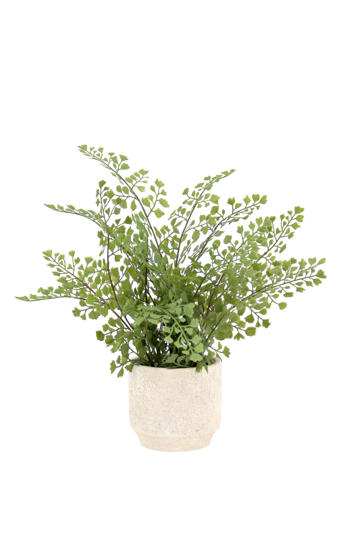 16" Faux Snake Plant & Fern Set