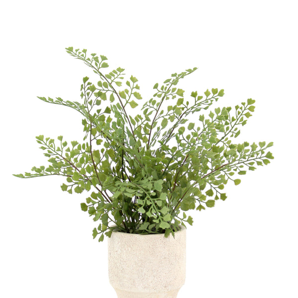 16" Faux Snake Plant & Fern Set
