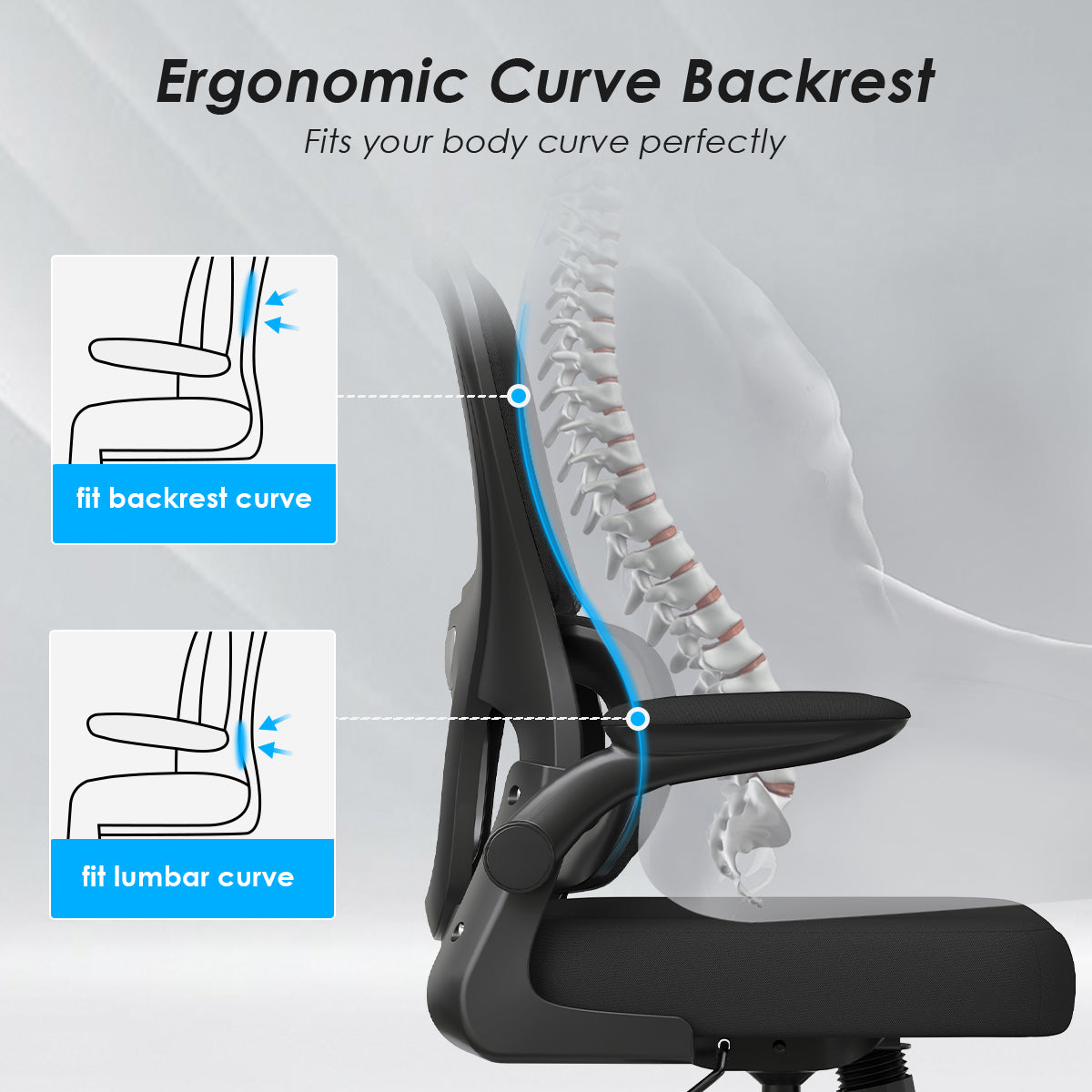 Ergonomic Mesh Office Chair with Lumbar Support