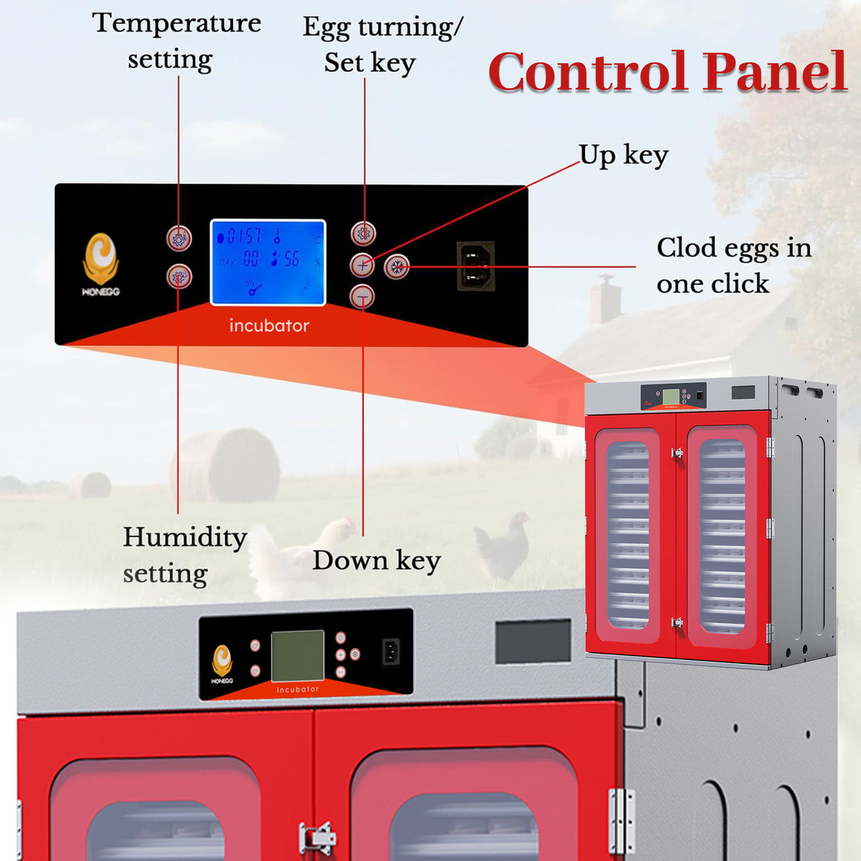 Commercial Egg Digital Cabinet Incubator With Auto Temperature & Humidity Control