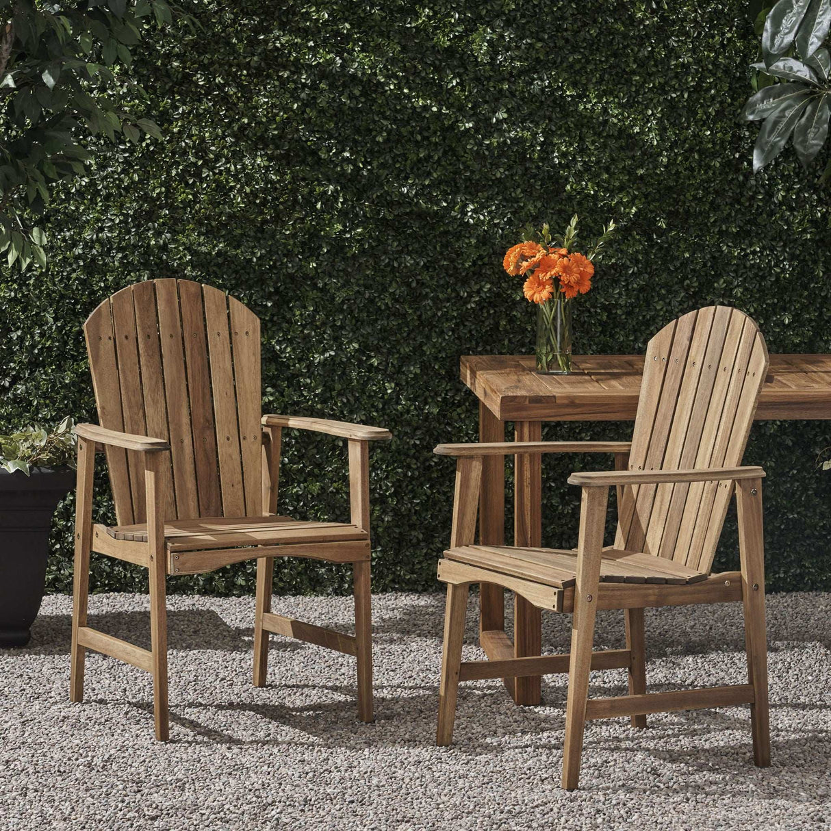 Outdoor Weather Resistant Acacia Wood Adirondack Dining Chairs (Set of 2) - Best Buy Furniture