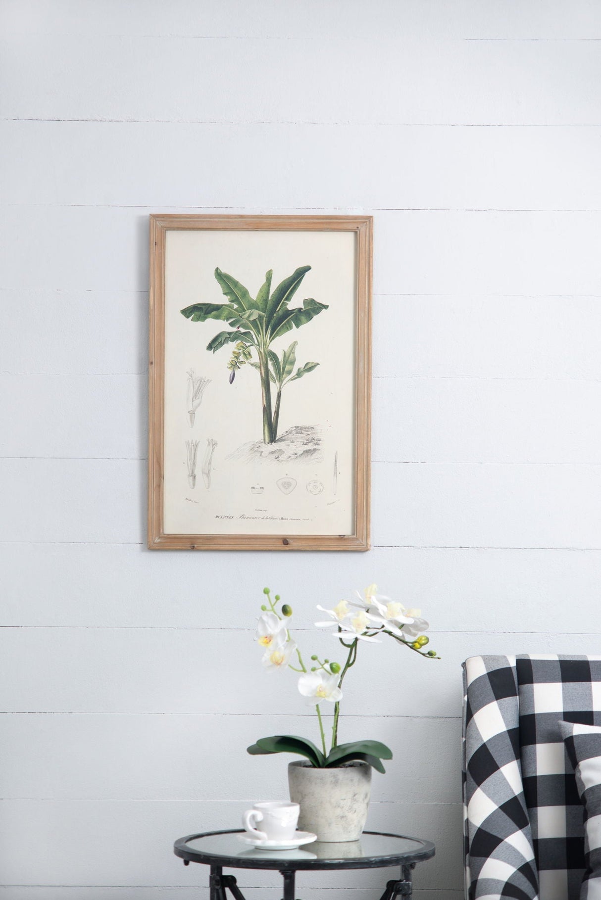 Tree Framed Print Set of 2 - Multicolor Botanical Wall Art