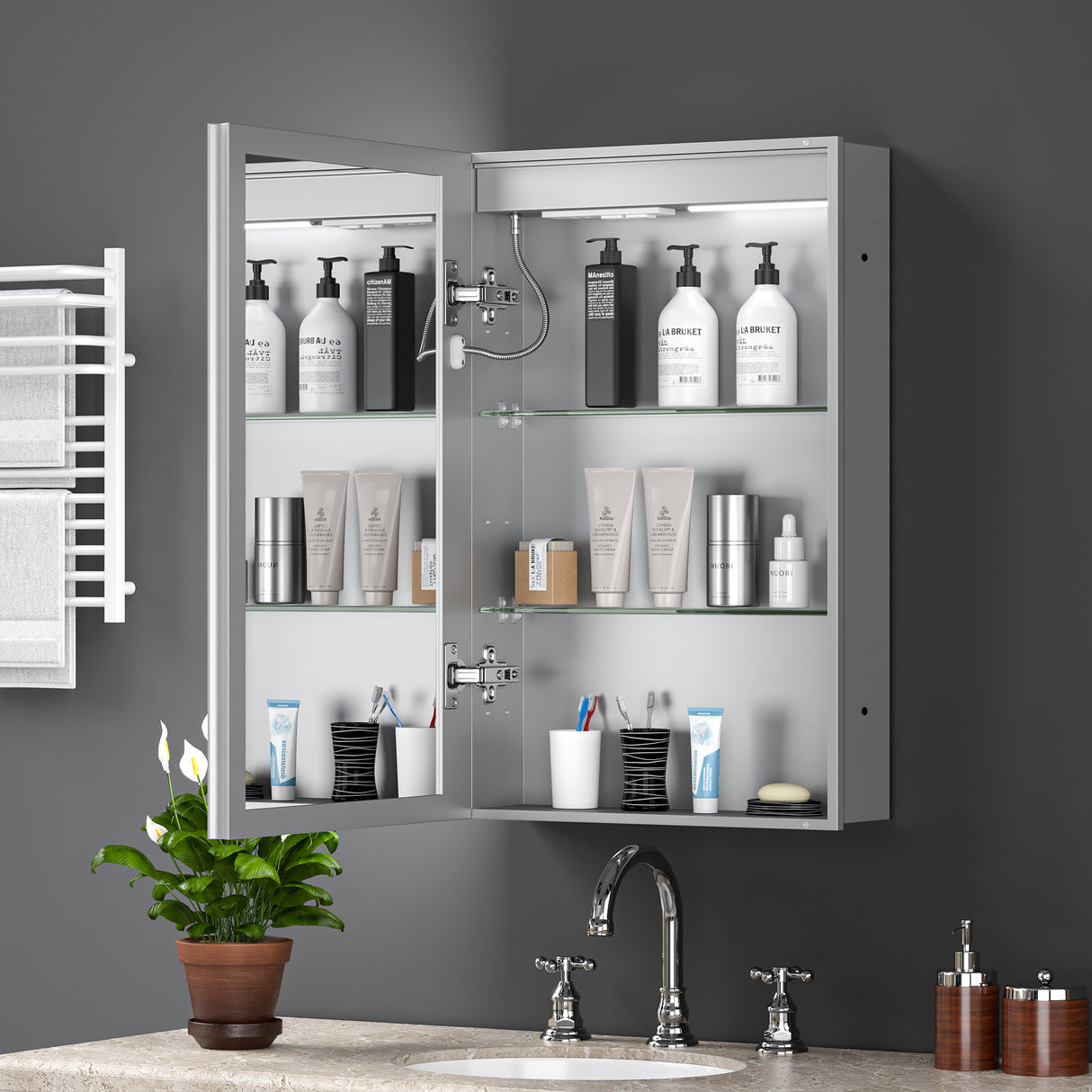 LED Lighted Medicine Cabinet with Mirror, 20x30 Inches