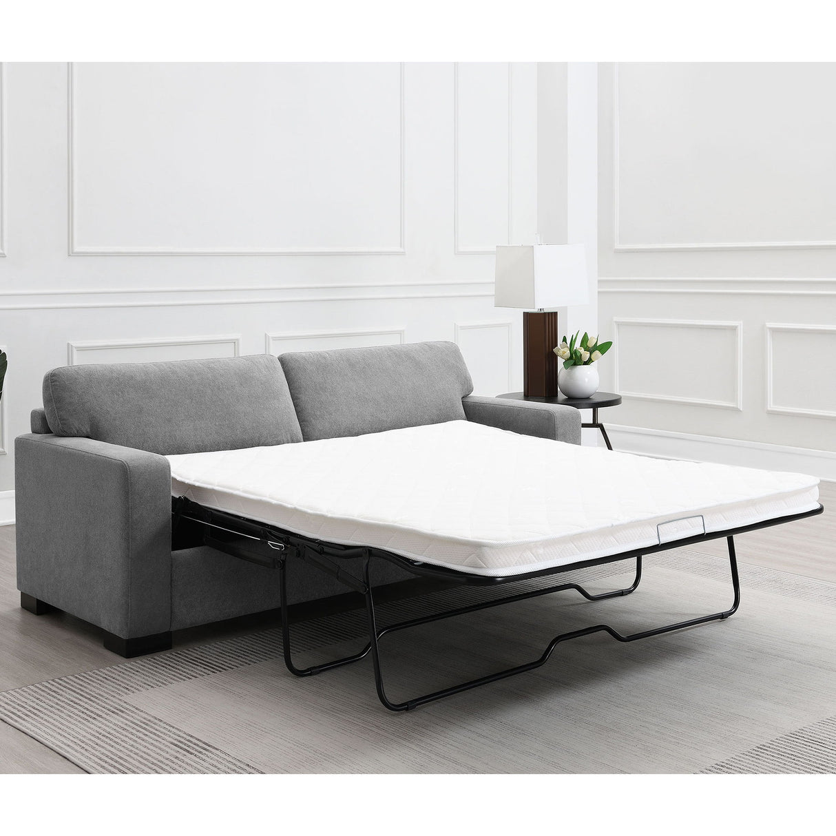 Vicente - Sleeper Sofa With Queen Mattress - Gray