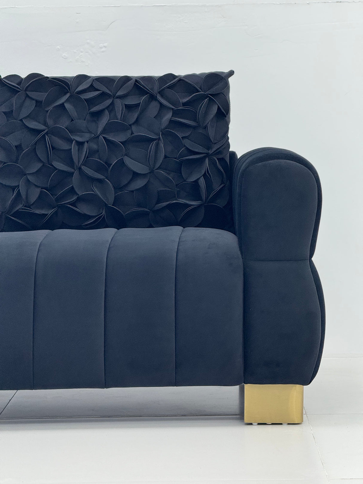 FX-P56-BKH Velvet Sofa