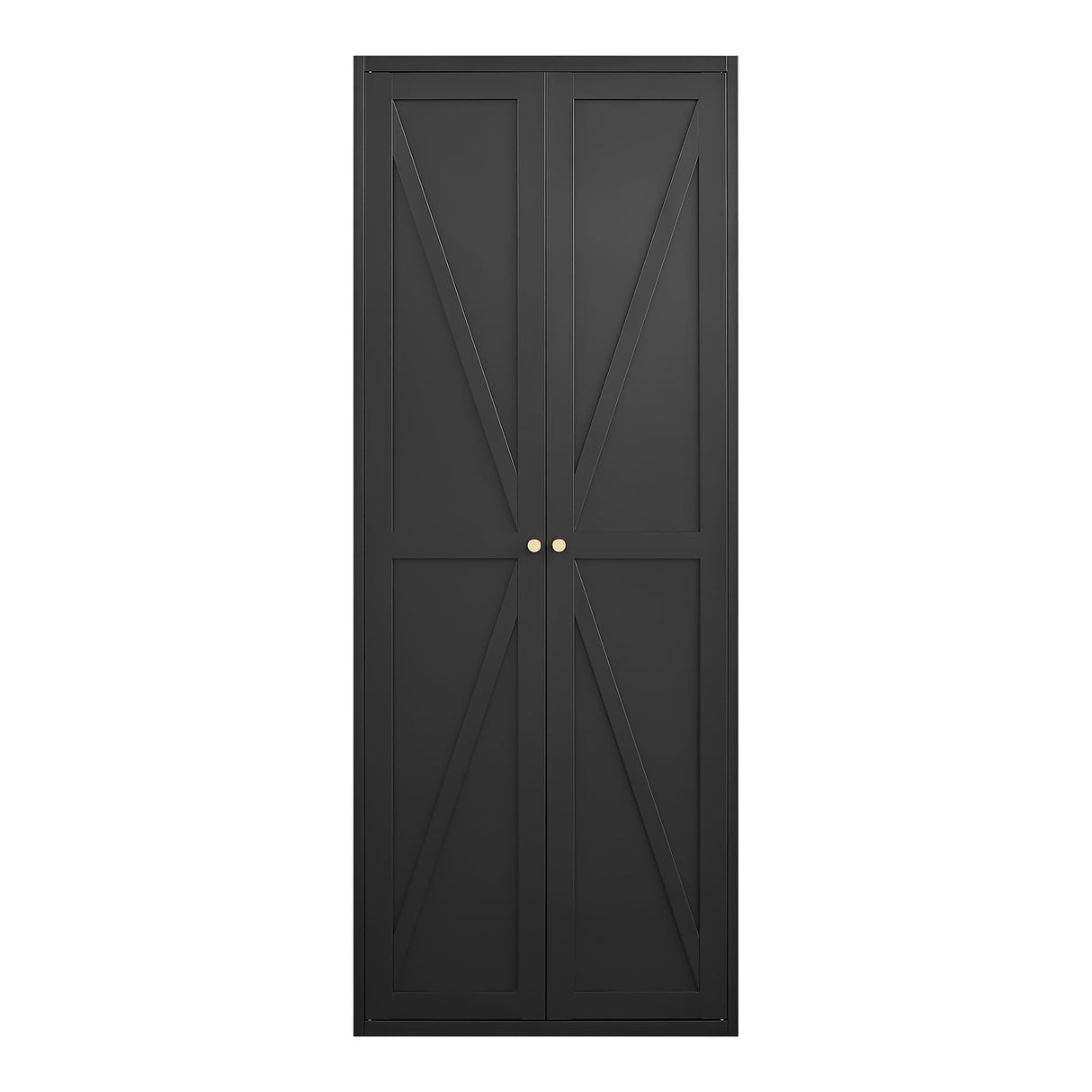 Adjustable 2 Door Storage Cabinet With Adjustable Shelves