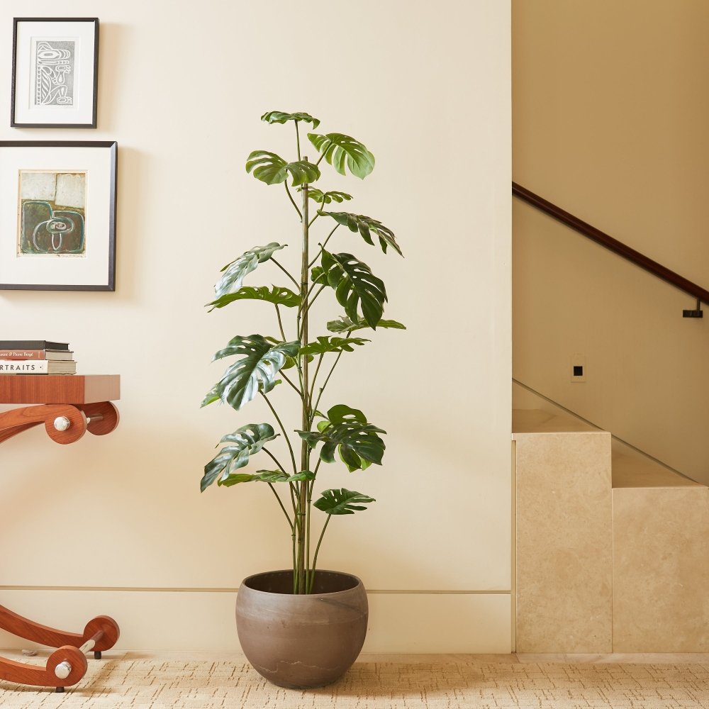 5' Artificial Monstera Tree