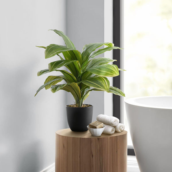 17" Tall, Artificial Plant, Dracaena, Indoor, Faux, Fake, Table, Greenery, Potted, Real Touch, Decorative - Green / Black - Best Buy Furniture