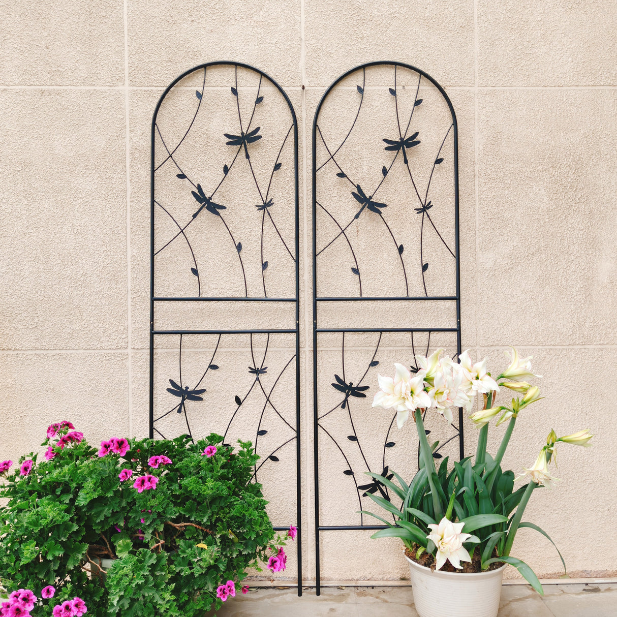 4 Pack Metal Garden Trellis for Climbing Plants