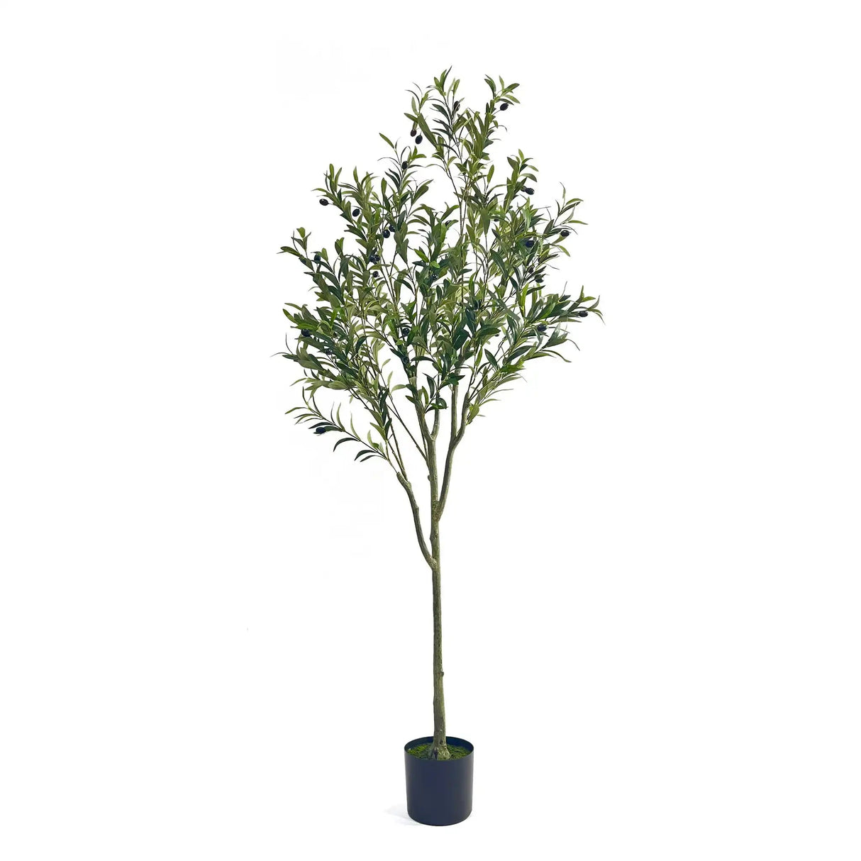 Artificial Olive Tree - Best Buy Furniture