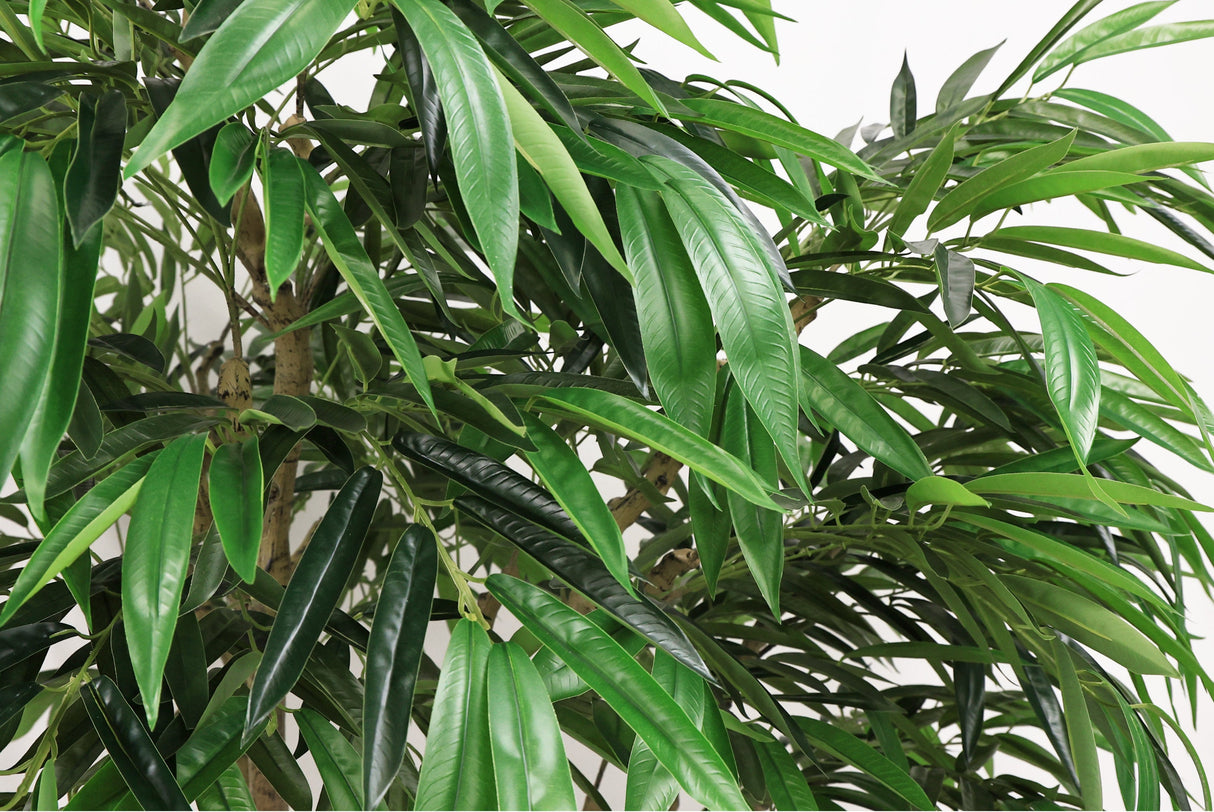 20887733