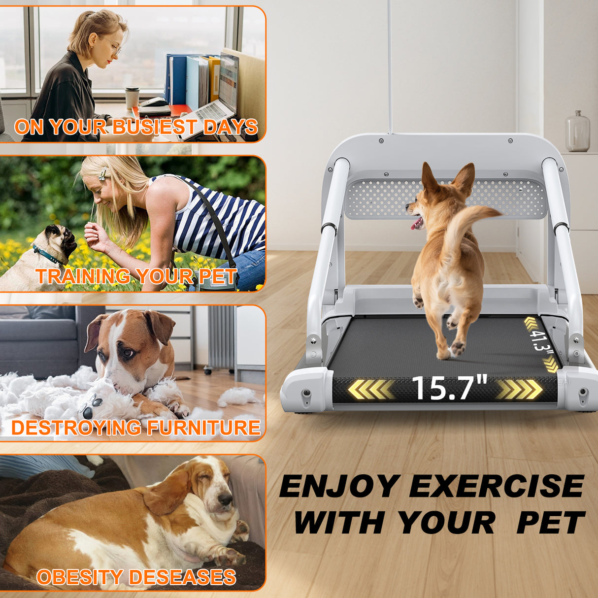 2025 New Quiet Smart Pet Treadmill