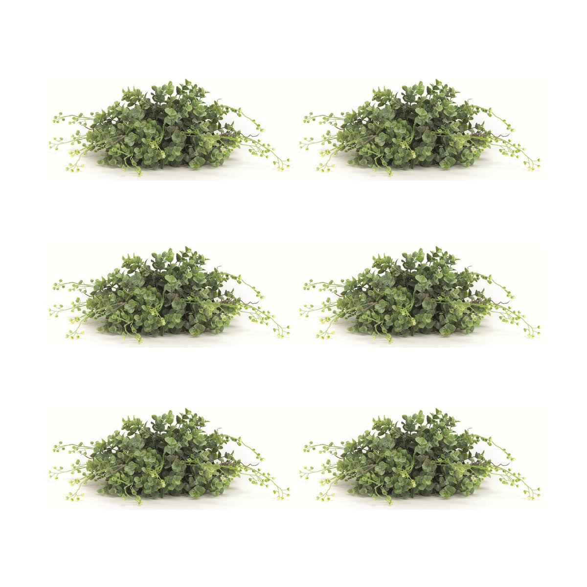 Spring-Boxwood-Foliage-Half-Orb-(Set-of-6)-Artificial-Flowering-Plants