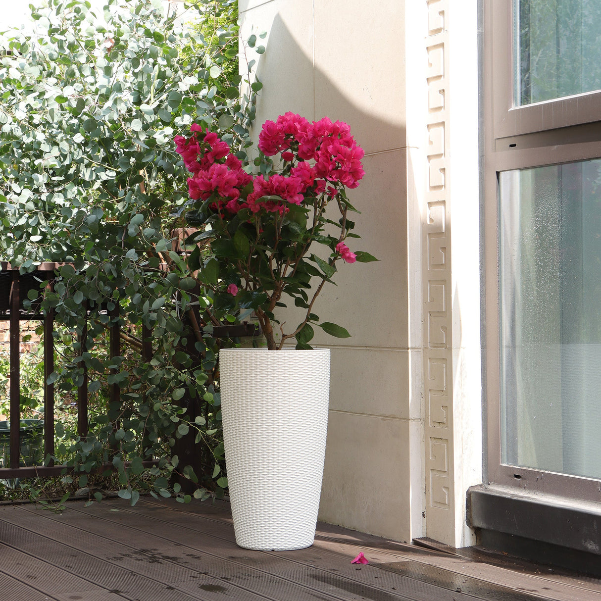 23633920