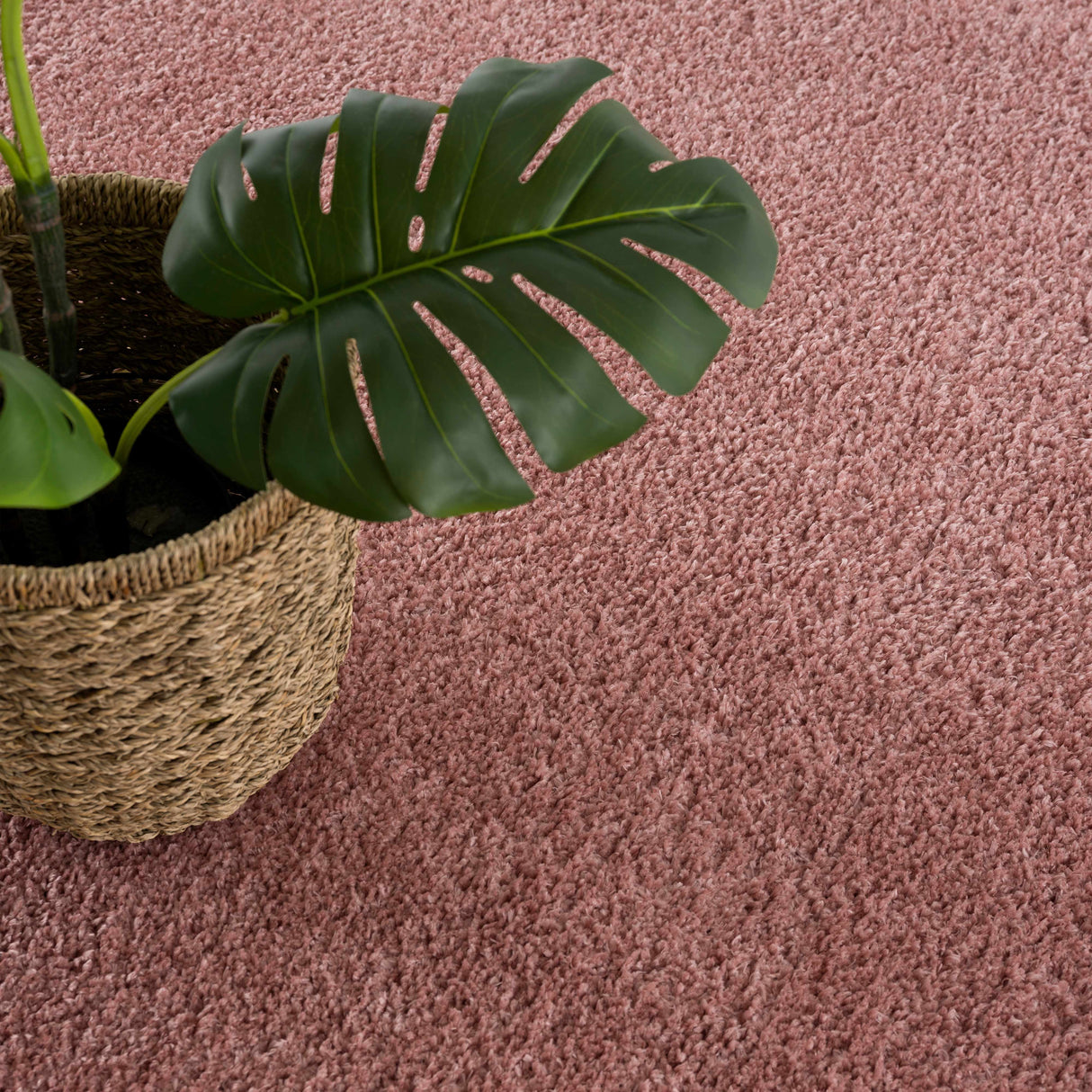 Judy Pink Plush Washable Area Rug - Clearance