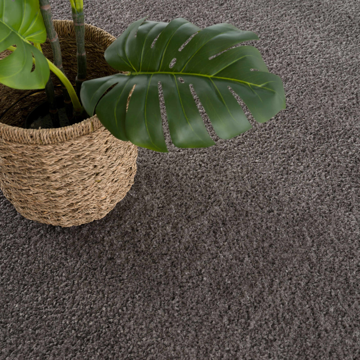 Judy Solid Dark Gray Washable Shag Rug - Promo