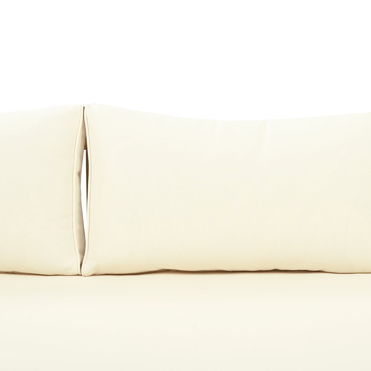 24081846