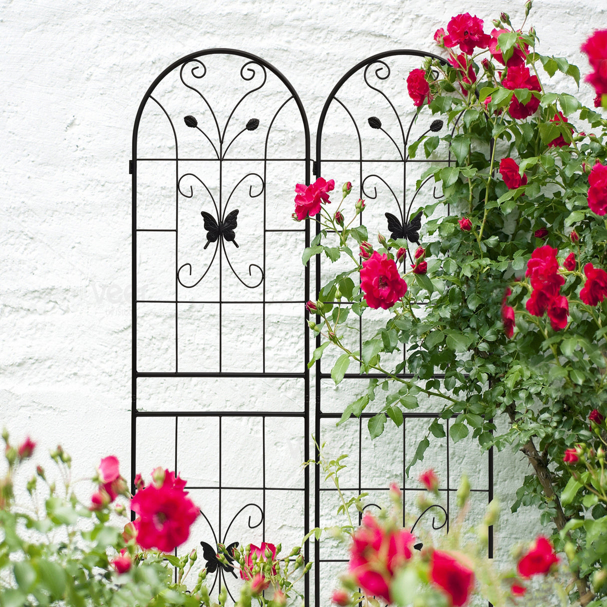 2 Pack Metal Garden Trellis 71" x 19.7" Rustproof Outdoor Support