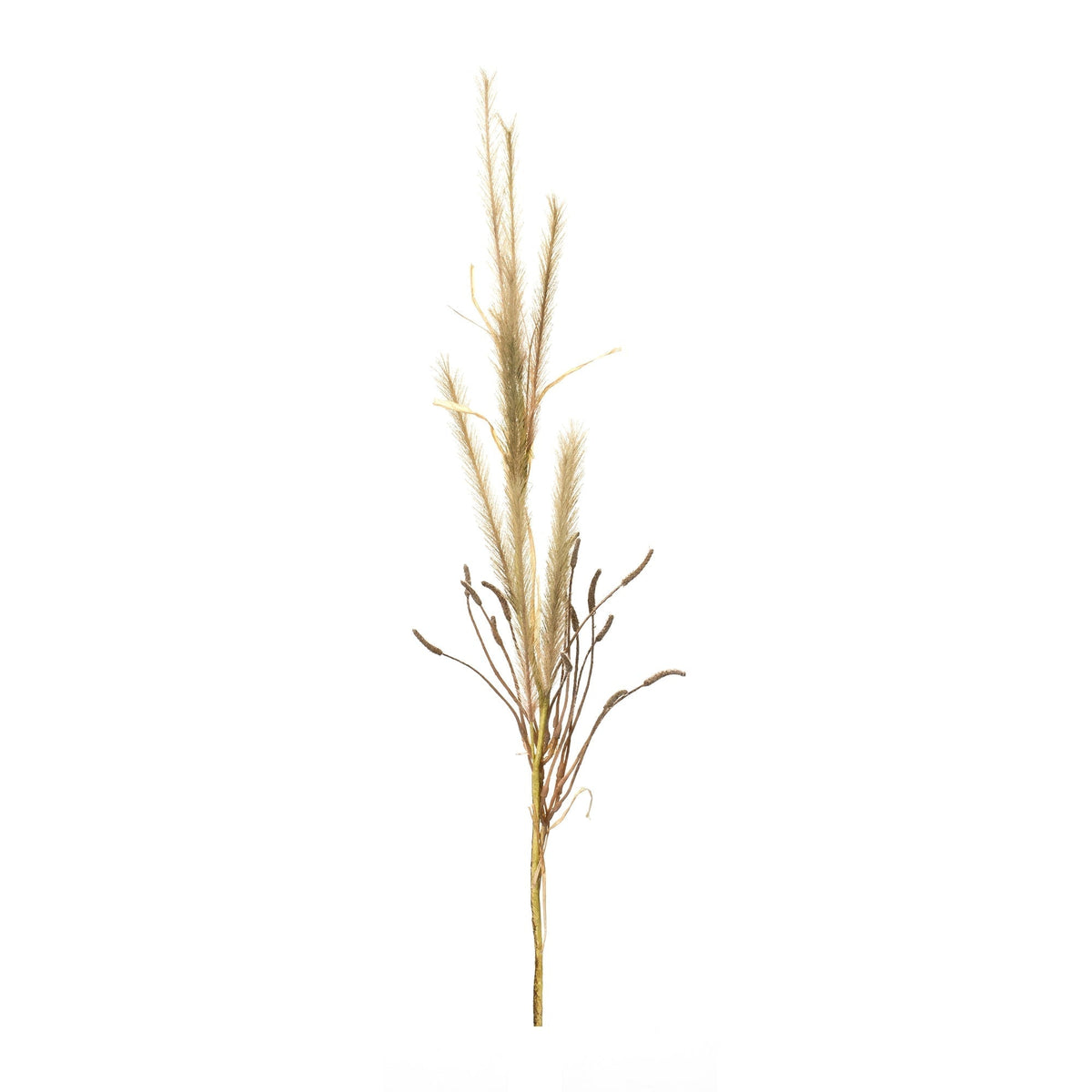 Foxtail-Grass-Spray-(Set-of-2)-Artificial-Flowering-Plants
