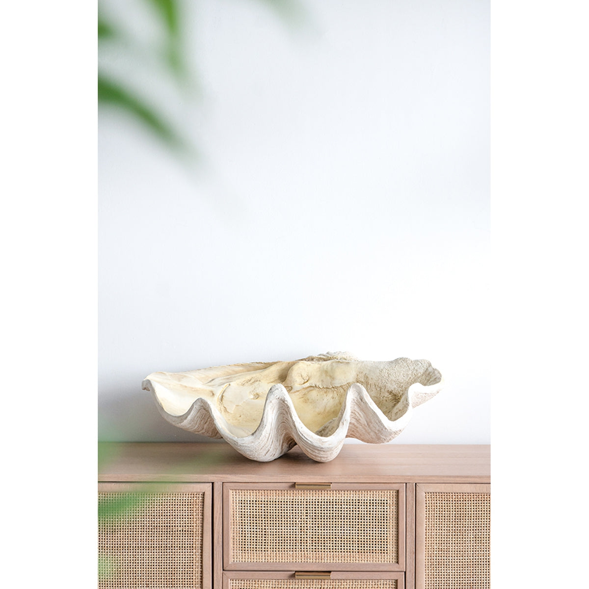 Large Clam Shell Accent, Coastal Style, 25.3-Inch, Cream