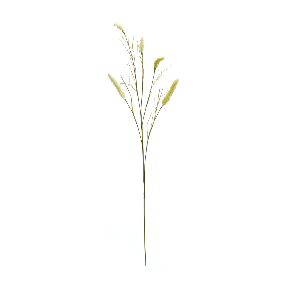 Foxtail Spray (Set of 6)