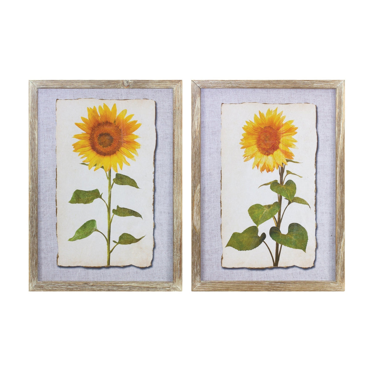 Framed-sunflower-print-(set-of-2)-Wall-Art
