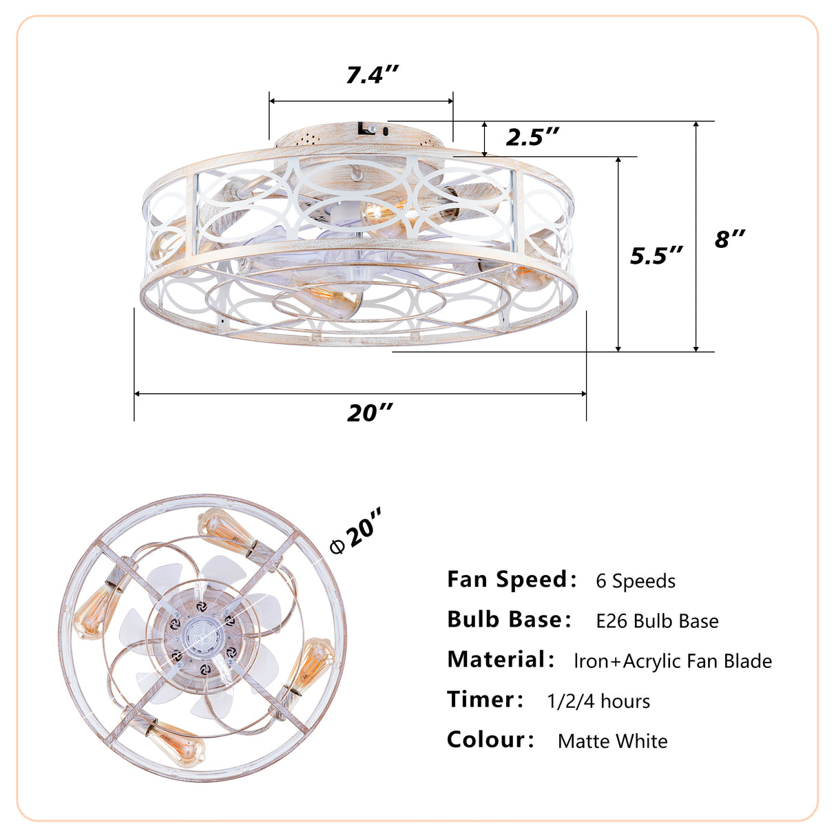 20" Caged Ceiling Fan with Lights and Remote Control