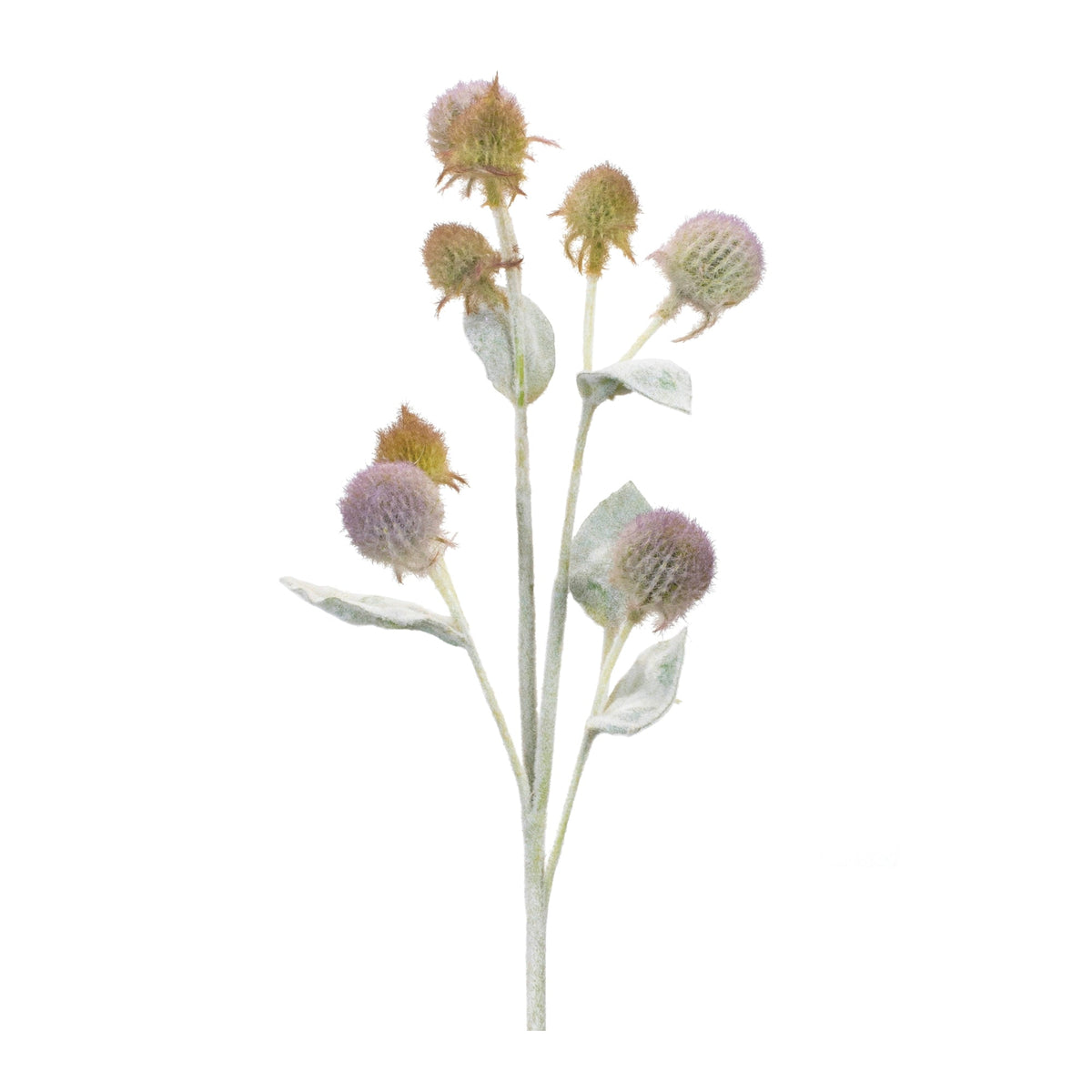 Thistle-foliage-spray-(set-of-6)-Artificial-Flowering-Plants