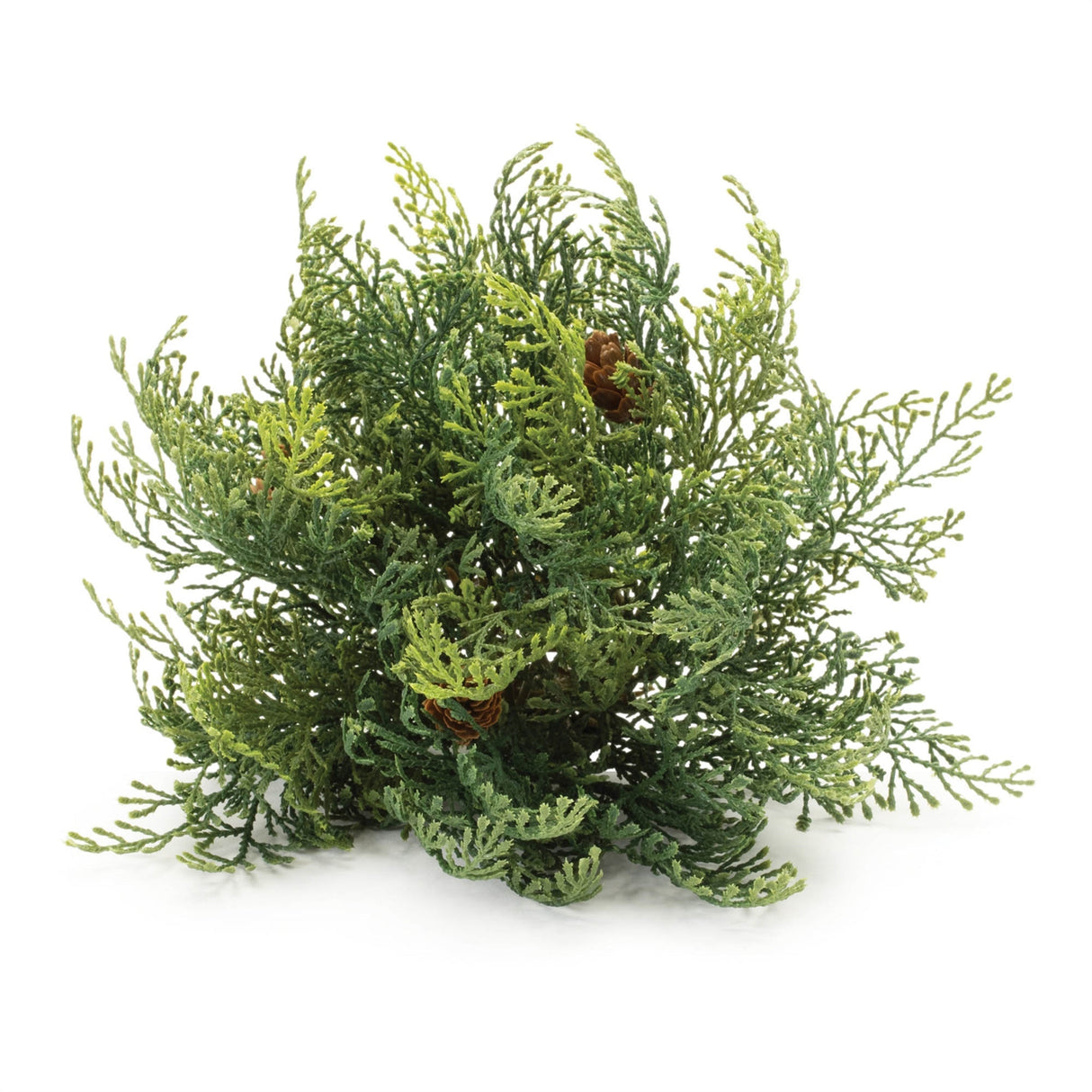 Cedar-Pinecone-Half-Ord-(Set-of-2)-Decorative-Objects