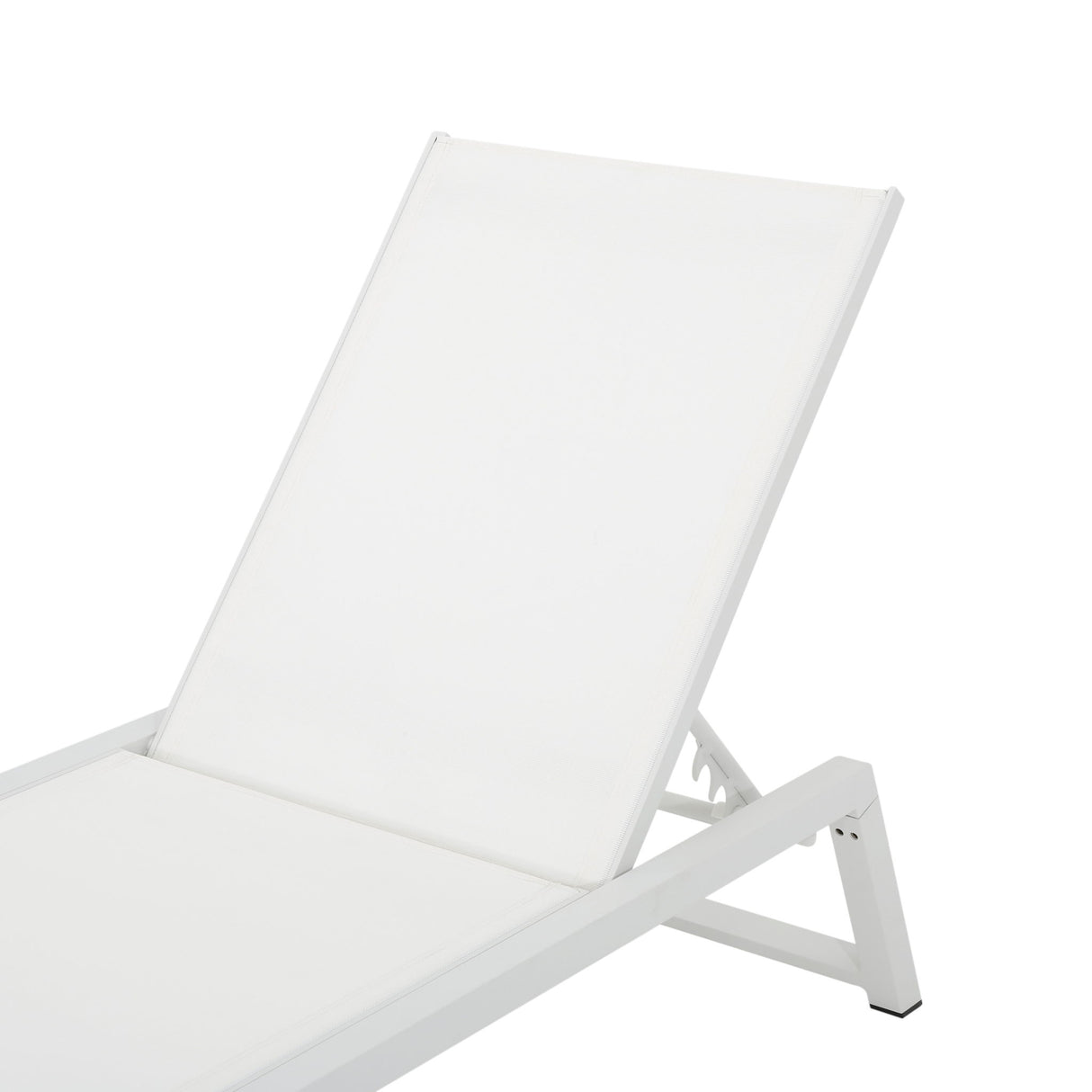 Myers - Modern Chaise Lounge Set With Adjustable Back