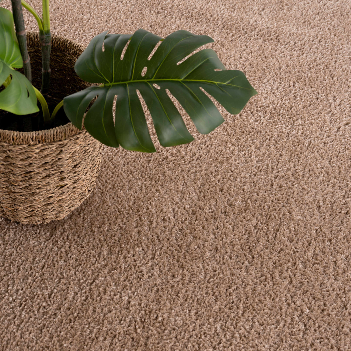Judy Brown - Promo Washable Area Rug