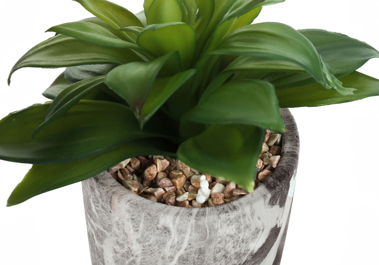 6" Tall, Artificial Plant, Succulent, Indoor, Faux, Fake, Table, Greenery, Potted, Decorative (Set of 2) - Green / Gray - Best Buy Furniture