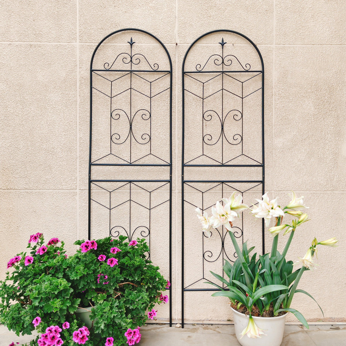 4 Pack Metal Garden Trellis