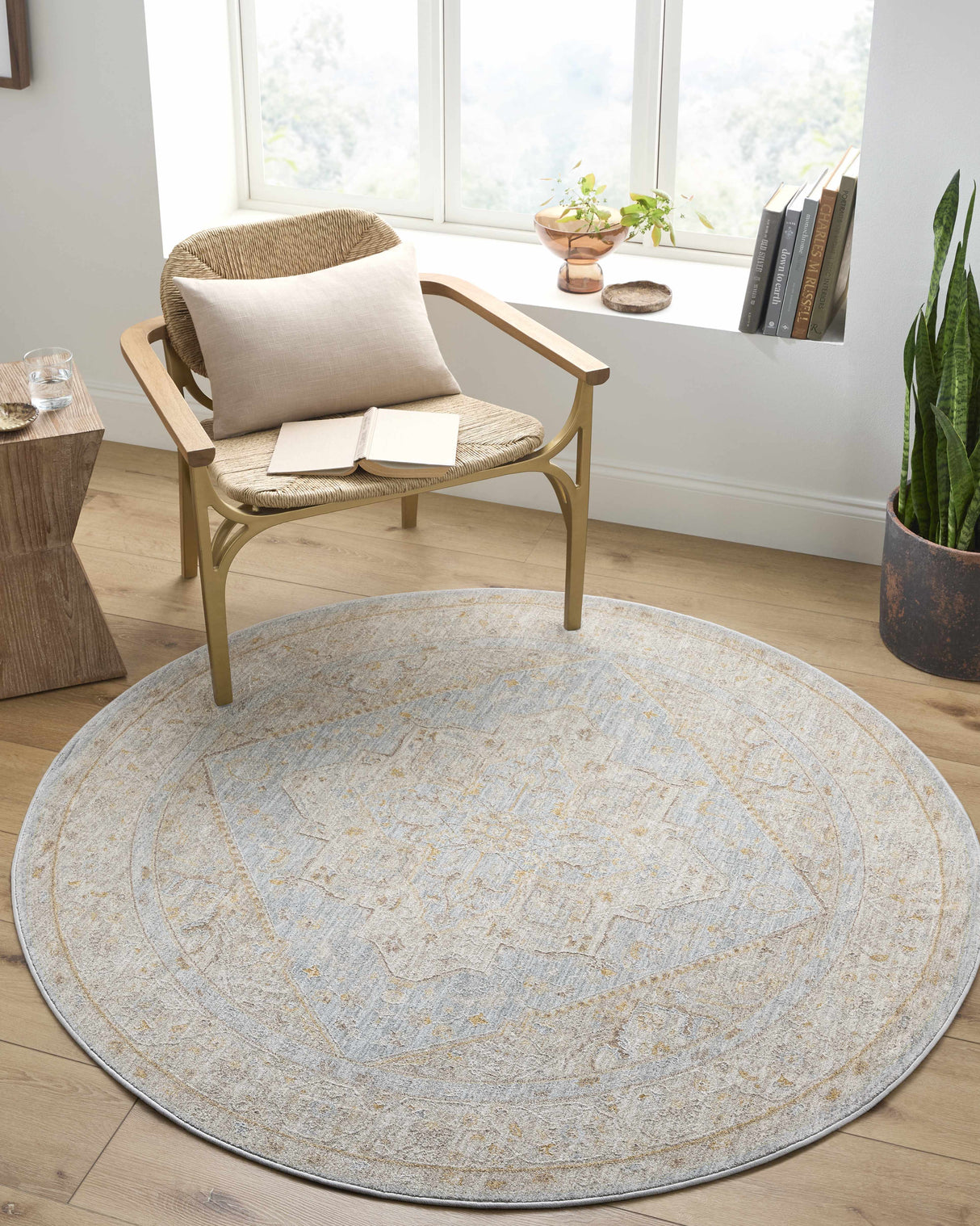 Arjun Area Rug