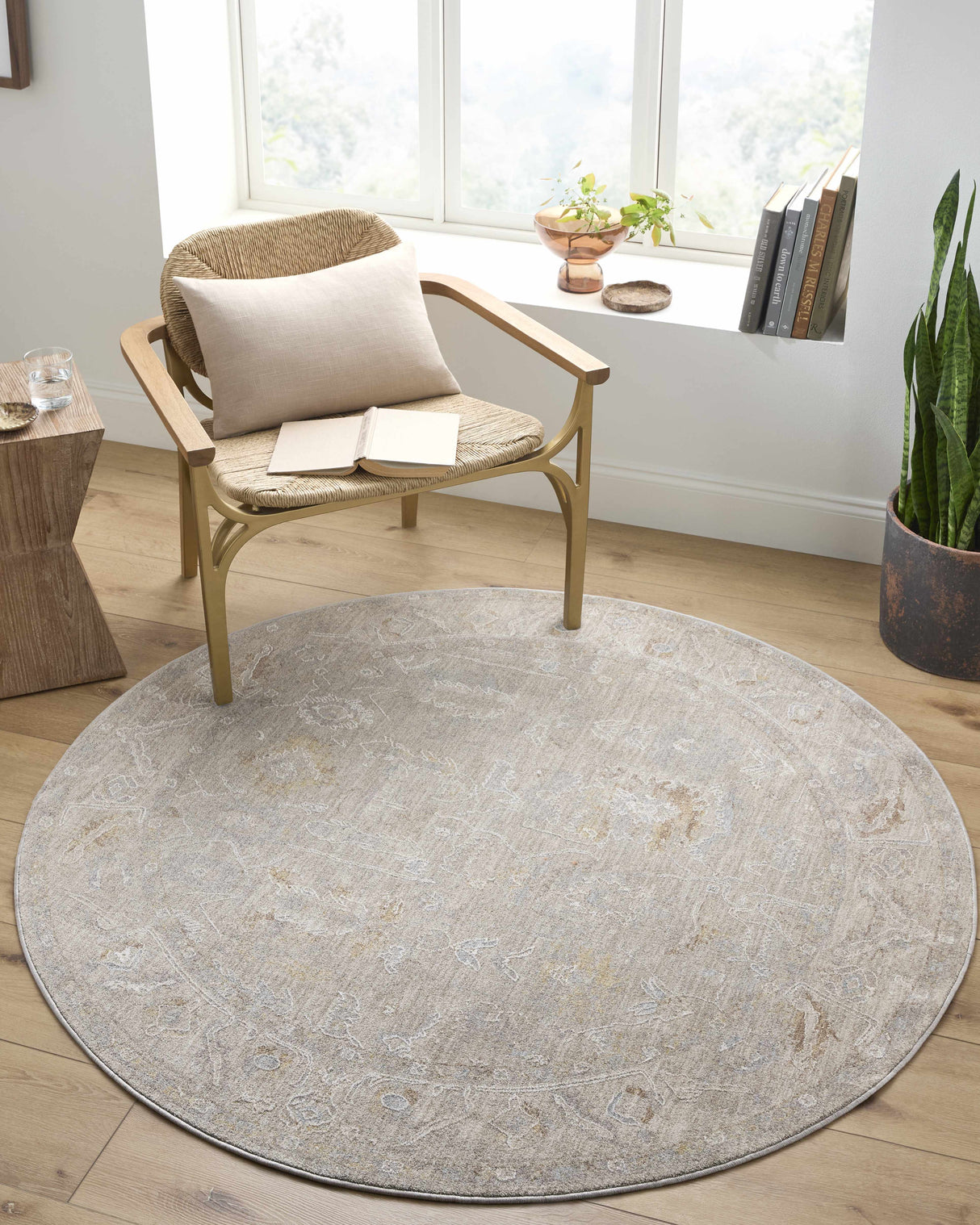Ashra Area Rug