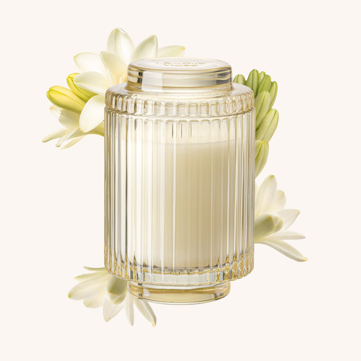 Amélie – Champs de Tuberose Candle