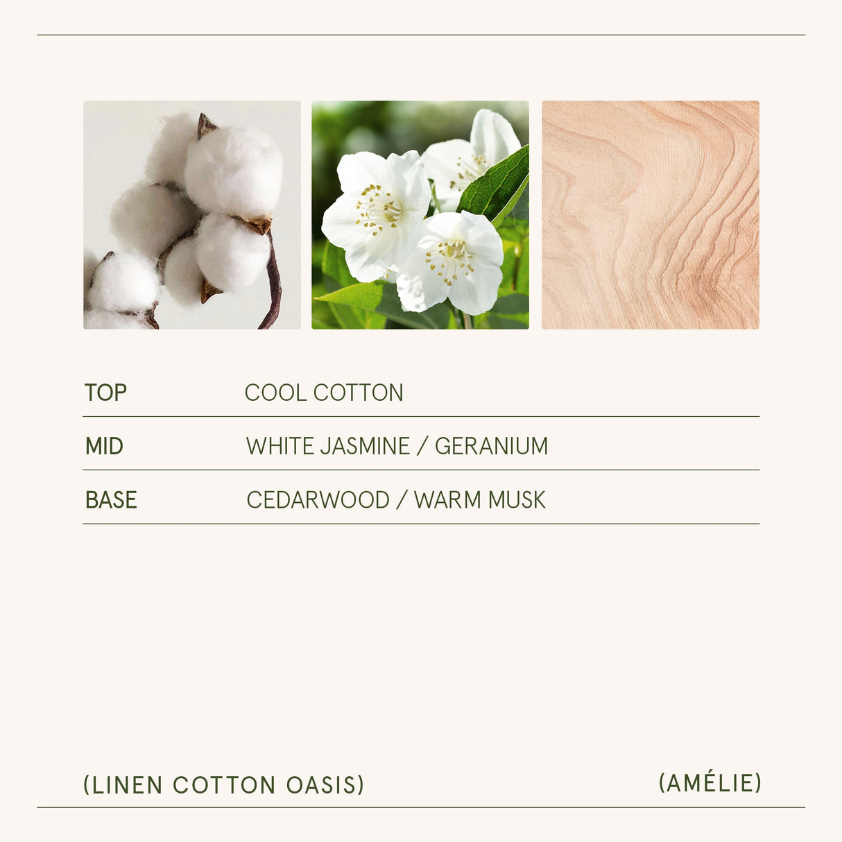 Amélie – Linen Cotton Oasis Candle