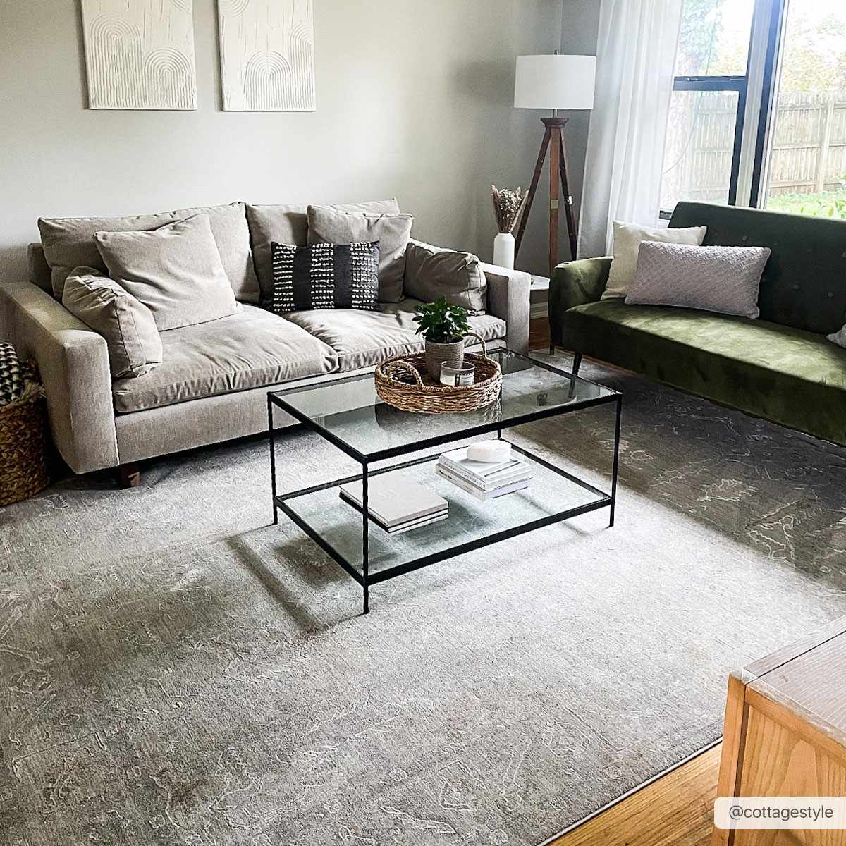 Ashra Area Rug